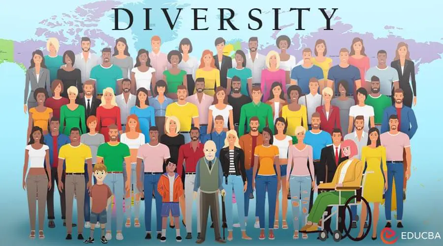 Essay on Diversity