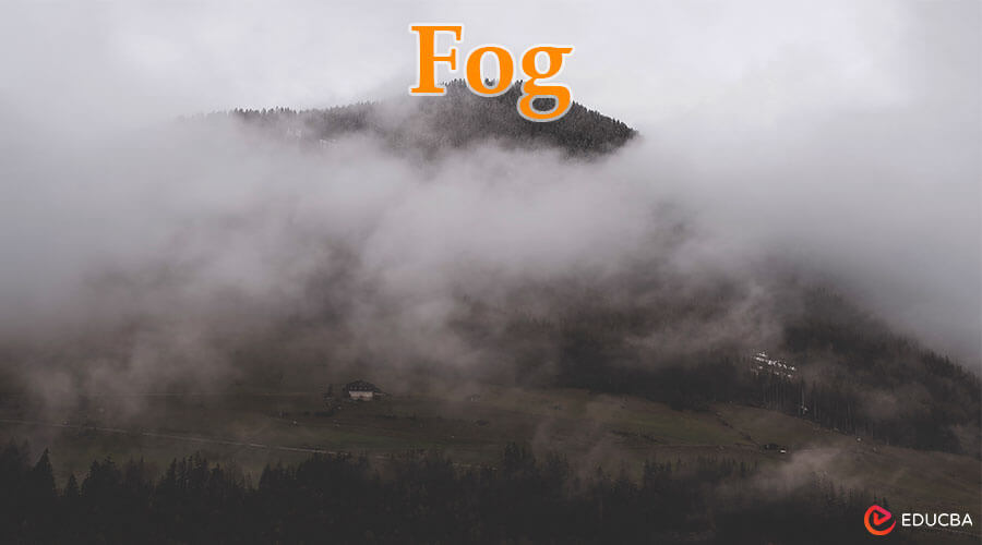Essay on Fog