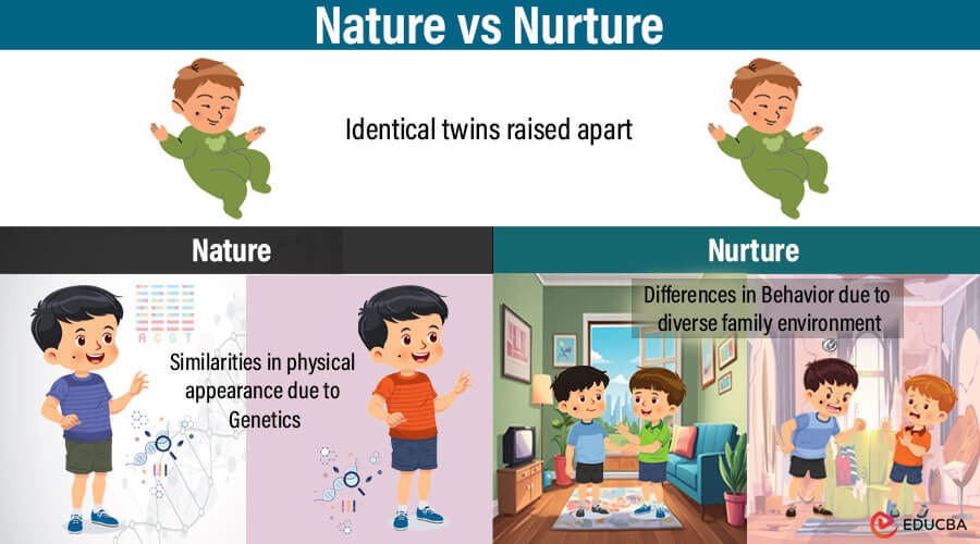 Essay on Nature vs Nurture