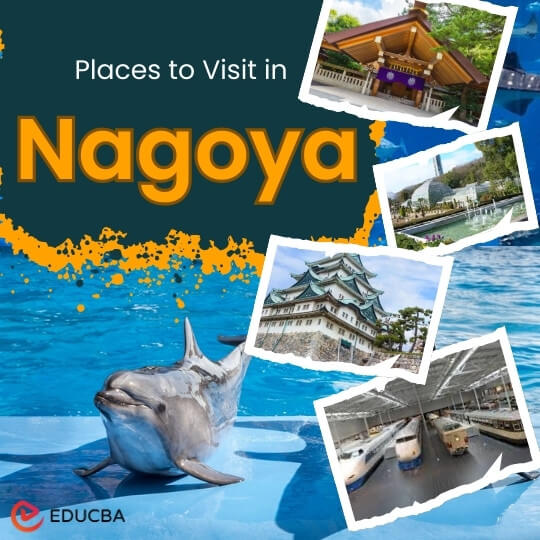 Places to Visit in Nagoya