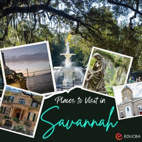 Places to Visit in Savannah