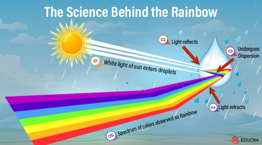 The Science Behind the Rainbow