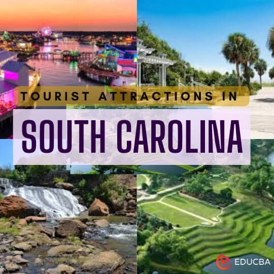 Tourist Attractions in South Carolina