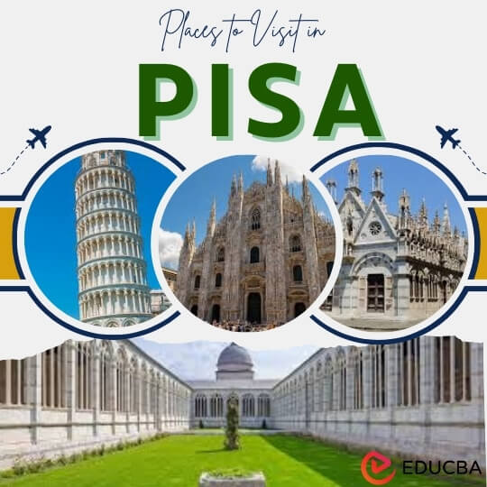 Places to Visit in Pisa