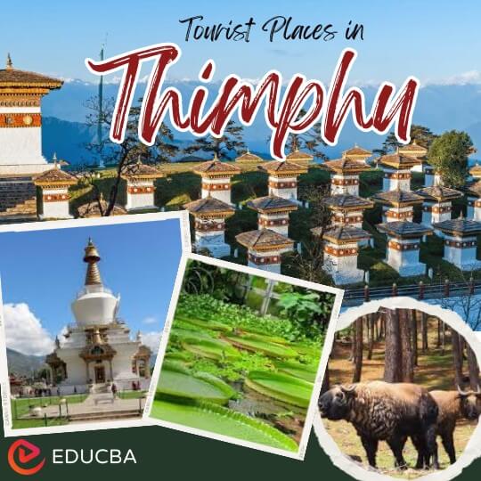 Tourist Places in Thimphu