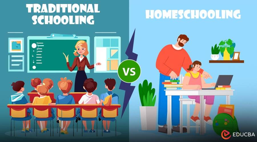 Traditional Schooling vs Homeschooling