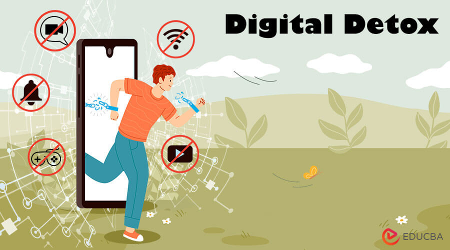 What is a Digital Detox