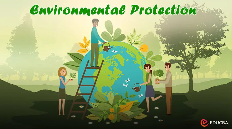 Essay on Environmental Protection