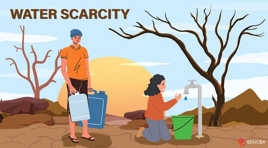 Essay on Water Scarcity