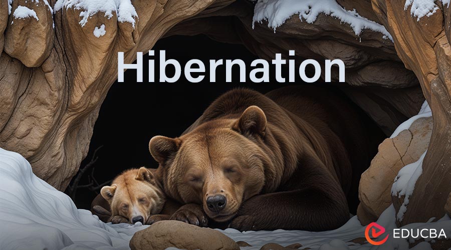 Hibernation