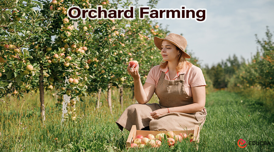 Orchard Farming