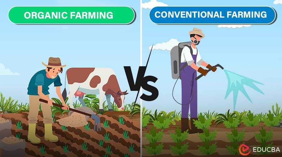 Organic Farming vs. Conventional Farming