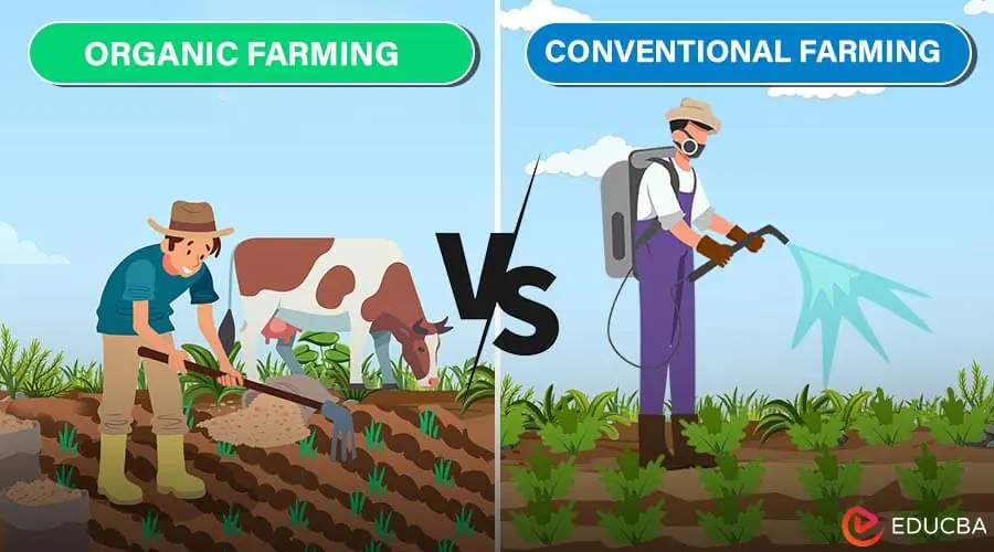 Organic Farming vs. Conventional Farming