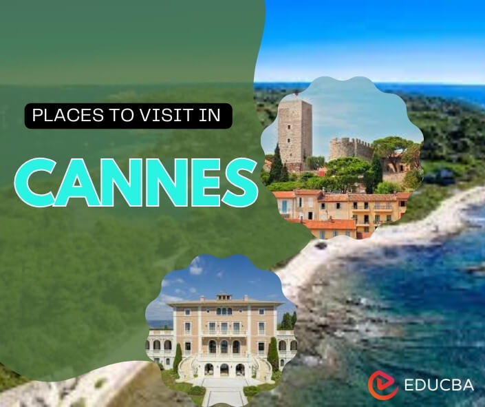 Places to Visit in Cannes