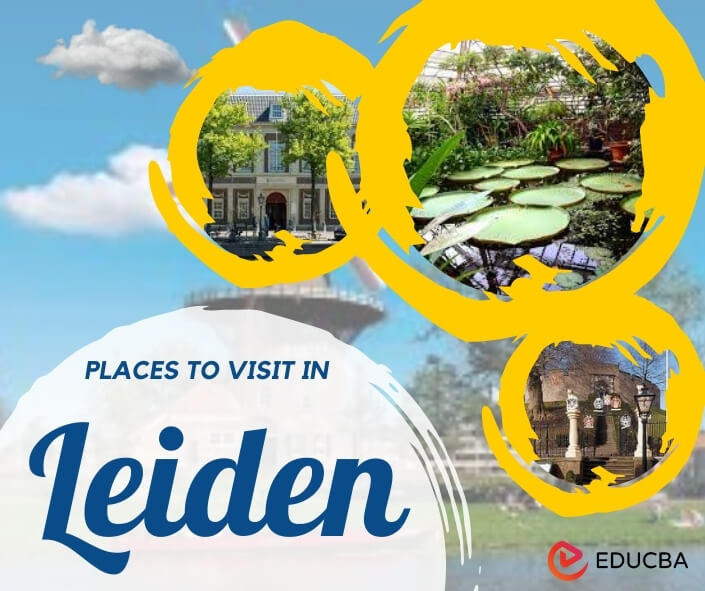 Places to Visit in Leiden