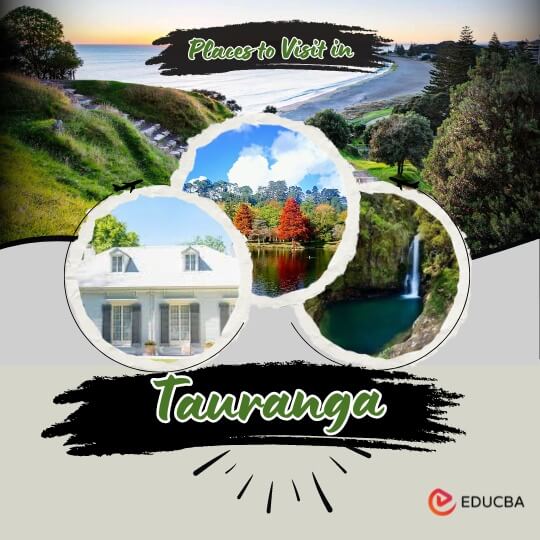 Places to Visit in Tauranga