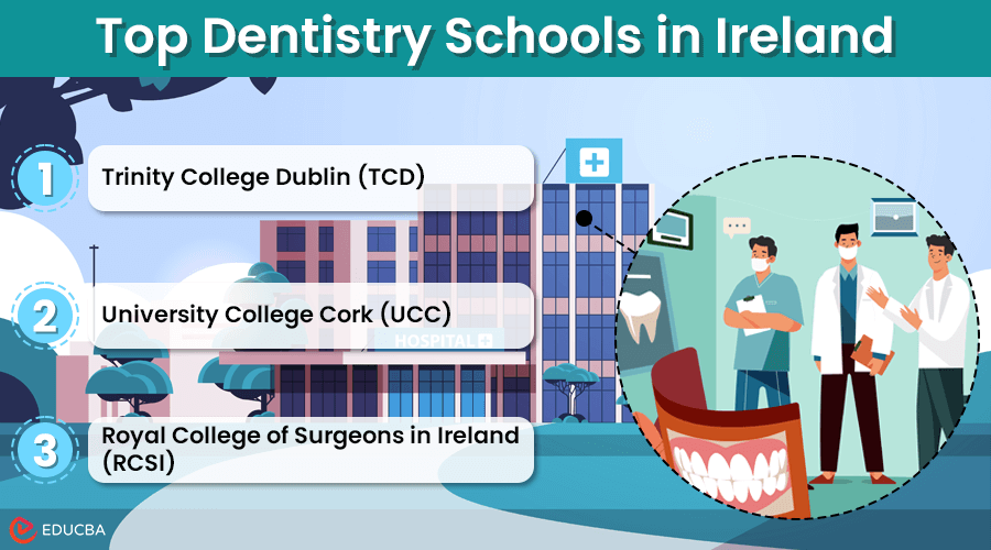 Top Dentistry Schools in Ireland