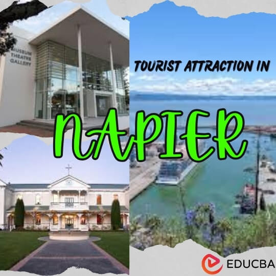 ourist Attraction in Napier