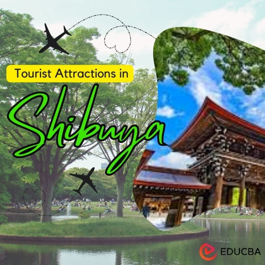 Tourist Attractions in Shibuya