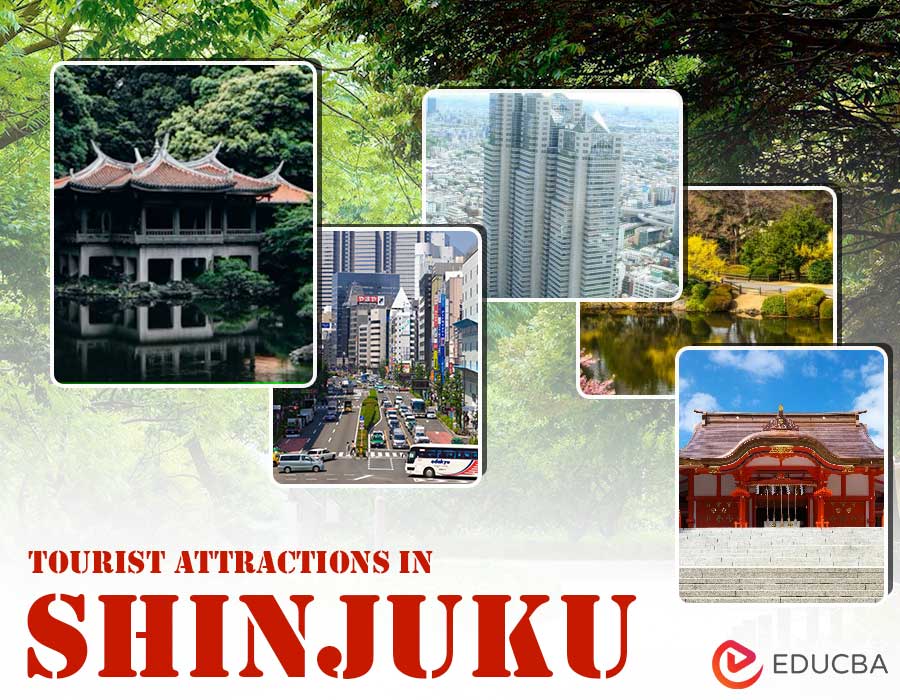 Tourist Attractions in Shinjuku