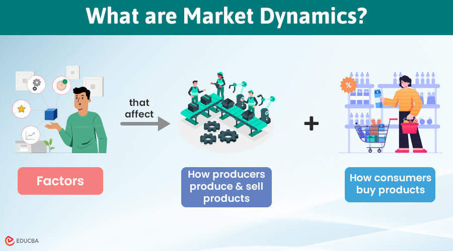 What are Market Dynamics