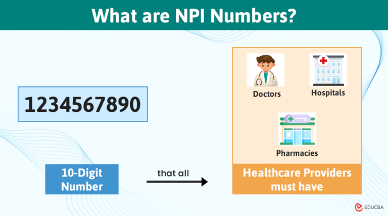 National Provider Identifier (NPI): Everything You Must Know