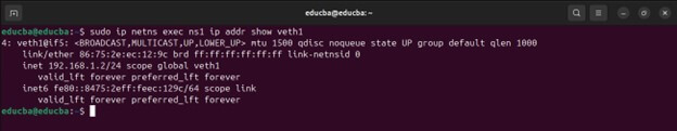 sudo ip netns exec ns1 ip addr show veth1