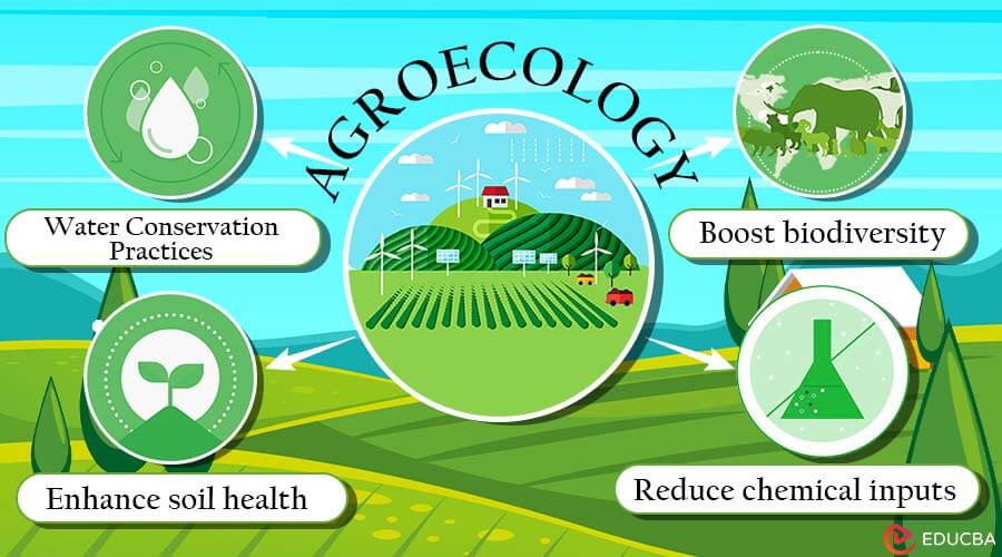 Agroecology