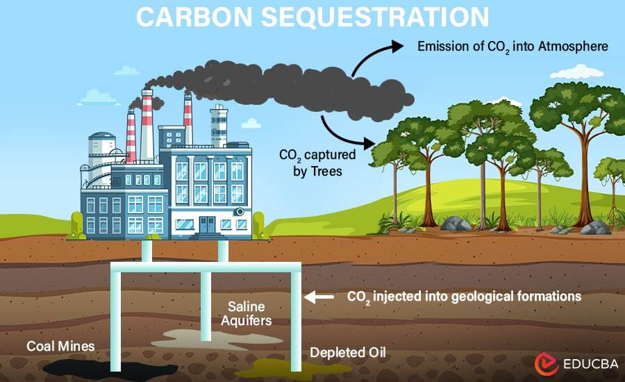 Carbon Sequestration