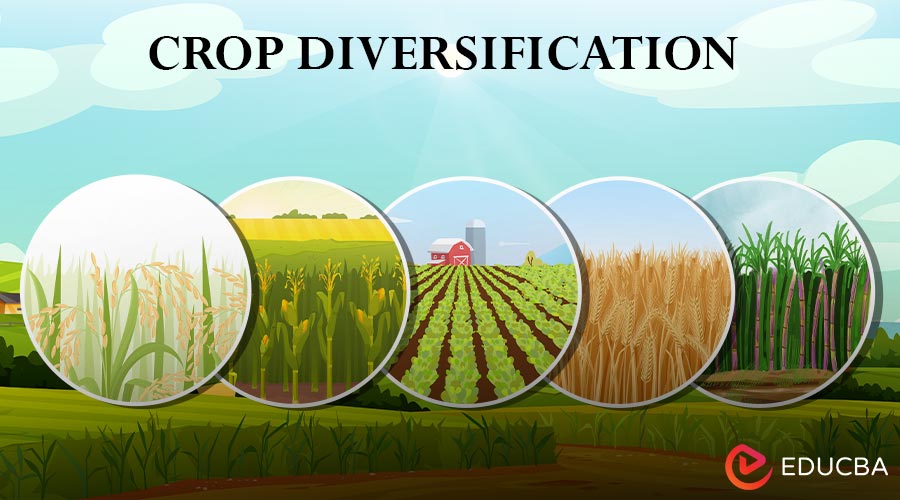 Crop Diversification