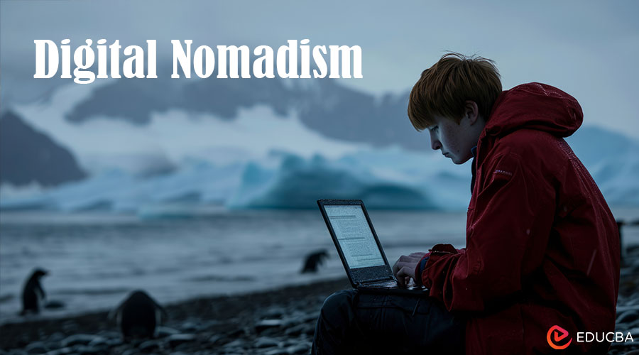 Digital Nomadism