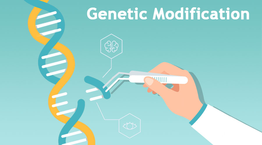 Genetic Modification