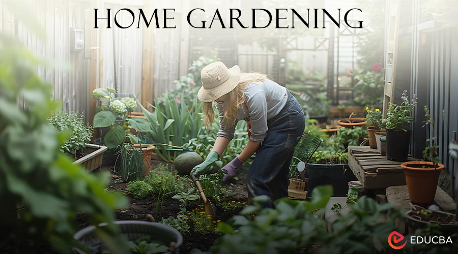 Home Gardening