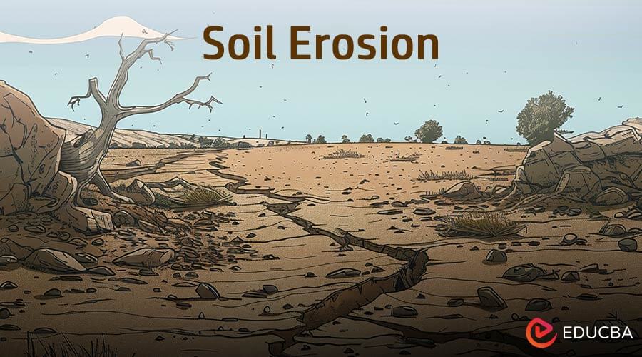 Soil Erosion