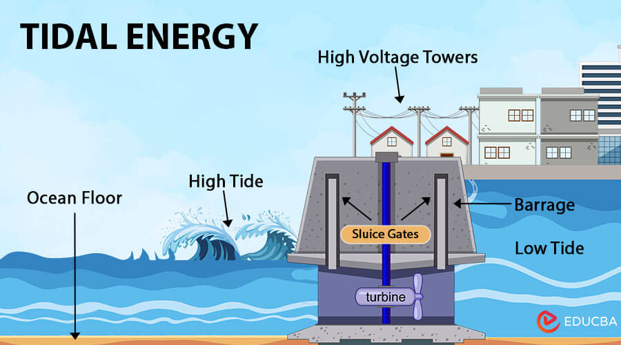 Tidal Energy