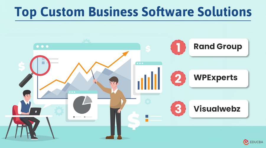 Custom Business Software