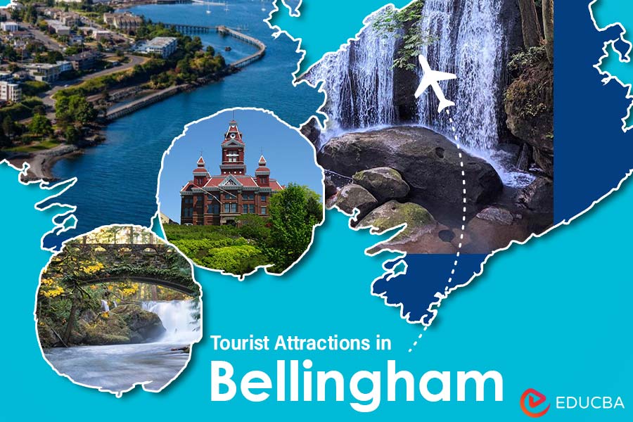 Tourist Attractions in Bellingham