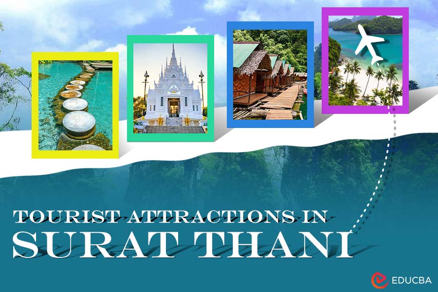 Tourist Attractions in Surat Thani