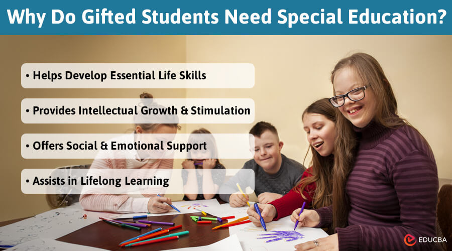 Why Do Gifted Students Need Special Education?