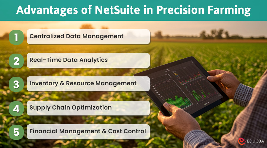 NetSuite in Precision Farming