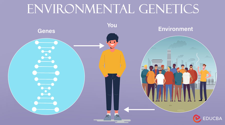 Environmental Genetics