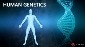 Human Genetics