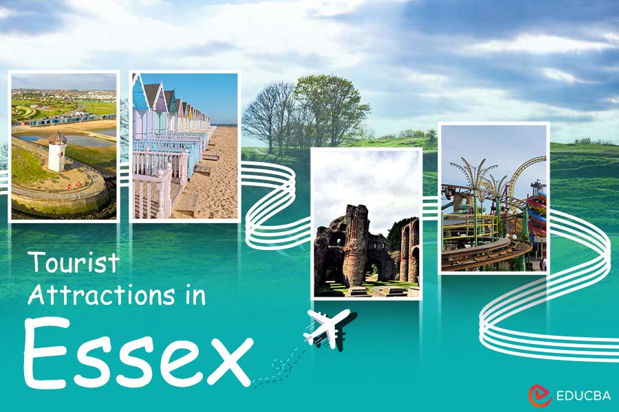 Tourist Attractions in Essex