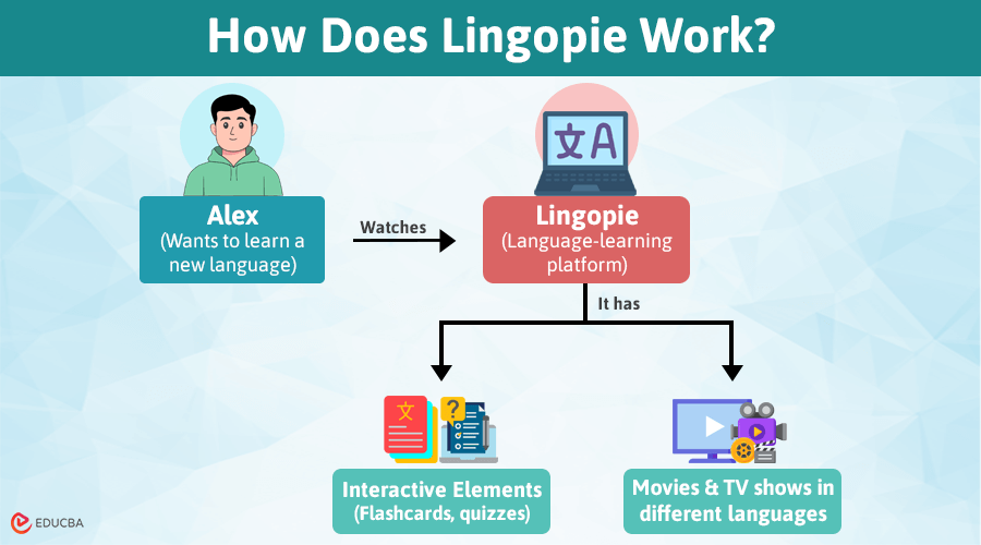 Lingopie