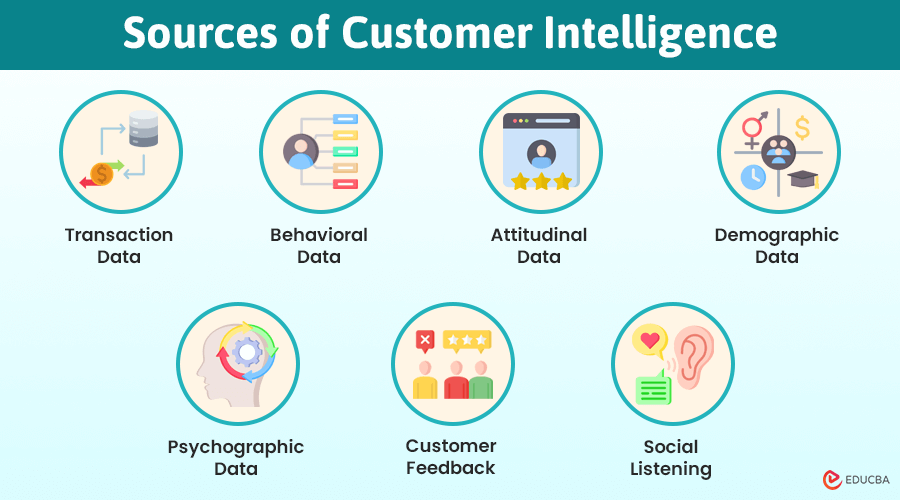 Customer Intelligence