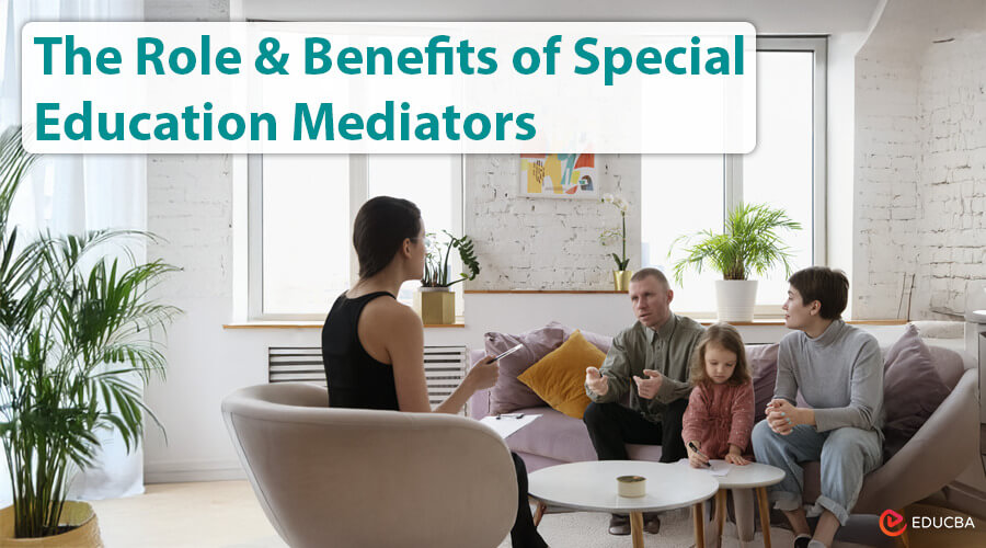 Special Education Mediators