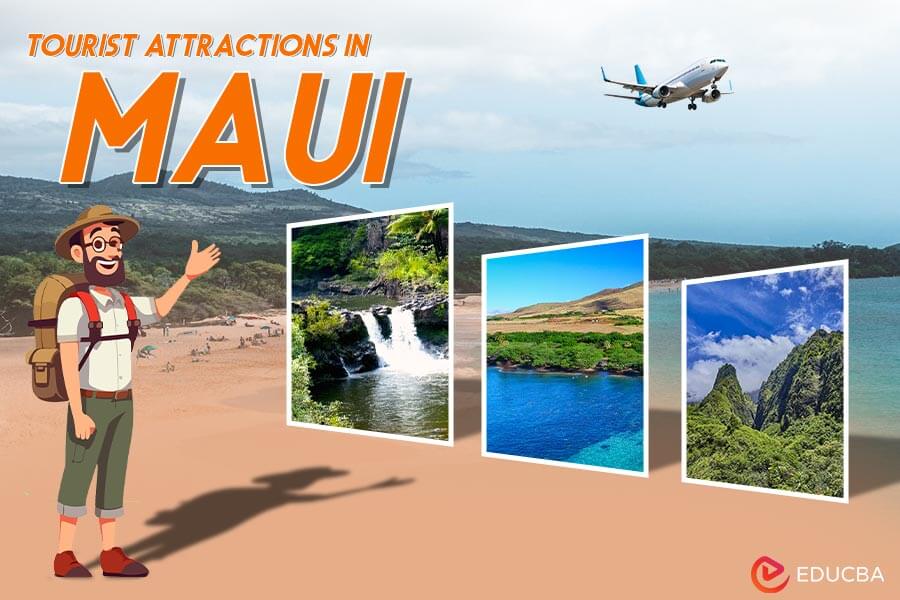 Tourist Attractions in Maui