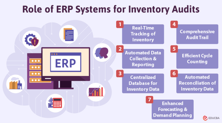 Role of ERP Systems for Inventory Audits | EDUCBA