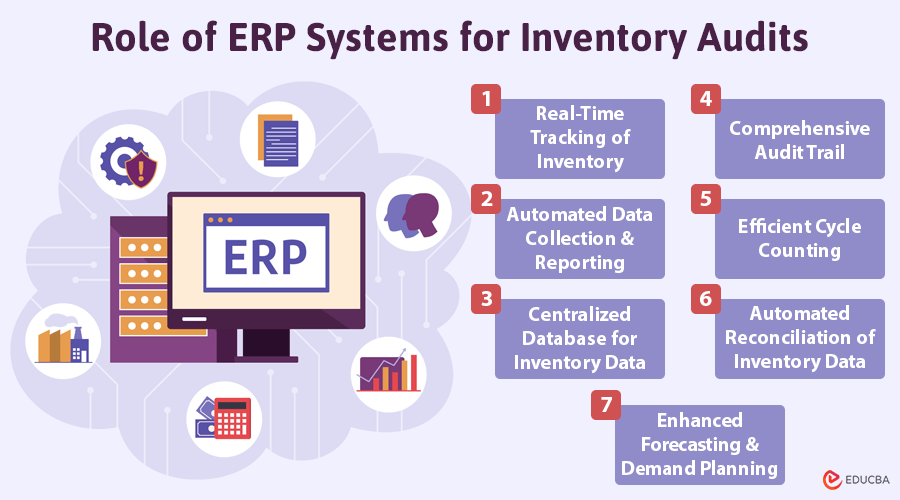 ERP Systems for Inventory Audits