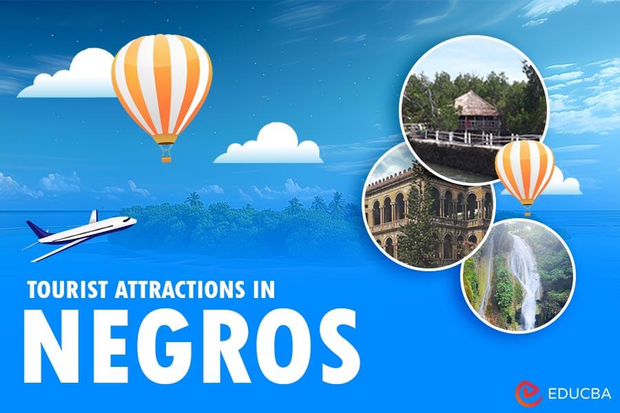 Top Things to do in Negros- Tourist Attractions in 2025